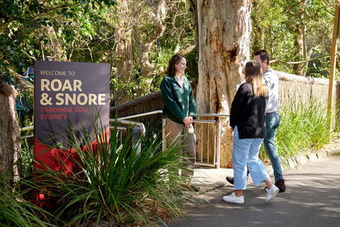Roar And Snore - Accommodation Broome 1