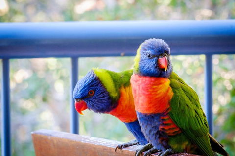 Sanctuary Lake Apartments - Accommodation Broome 1