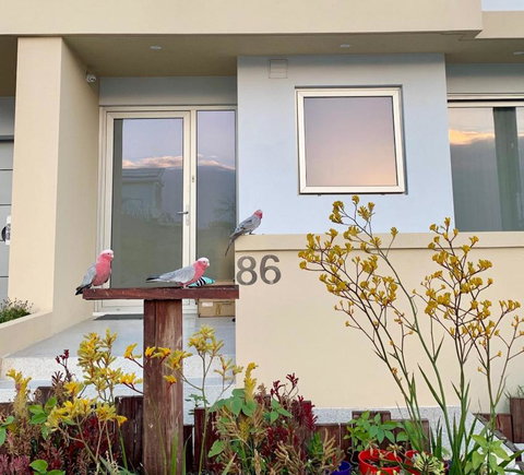 Sorrento Bluewater Apartment - Accommodation Broome 2