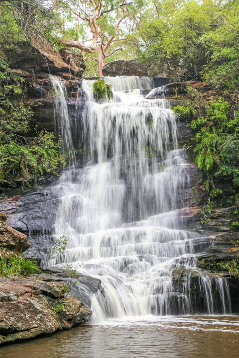 Stunning Peaceful Holiday Haven With Waterfall - Accommodation Broome 1