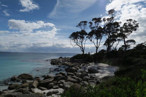 Binalong Bay Beach Shack - Accommodation Broome 0