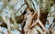 Yallingup Forest Resort - thumb 2