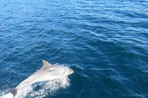 Twilight Sail Bruny Island - Accommodation Broome 5