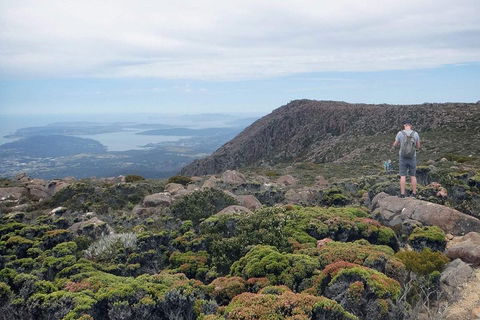 Kunanyi / Mt Wellington Explorer Bus - 2 Hour Return Tour - Accommodation Broome 3