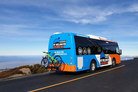 Kunanyi / Mt Wellington Explorer Bus - 2 Hour Return Tour - Accommodation Broome 4