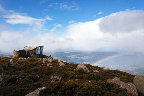 Kunanyi / Mt Wellington Explorer Bus - 2 Hour Return Tour - Accommodation Broome 5