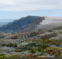 kunanyi/Mt Wellington Explorer Bus - One Way Tour - Accommodation Broome