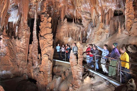 Private Tour: Jenolan Caves & Blue Mountains In A Day - Accommodation Broome 0