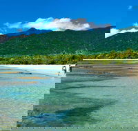 5-Day Best of Cairns with Daintree Kuranda and Great Barrier Reef - Accommodation Broome