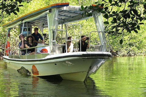 5-Day Best Of Cairns With Daintree, Kuranda, And Great Barrier Reef - Accommodation Broome 1