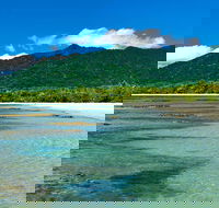 8-Day Cairns Tour Great Barrier Reef Kuranda Daintree Rainforest - Accommodation Broome