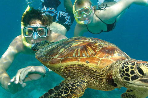 8-Day Cairns Tour: Great Barrier Reef, Kuranda, Daintree Rainforest - Accommodation Broome 1