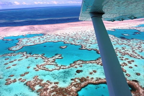 8-Day Cairns Tour: Great Barrier Reef, Kuranda, Daintree Rainforest - Accommodation Broome 2