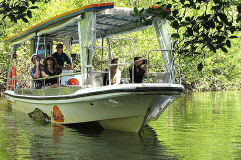 8-Day Cairns Tour: Great Barrier Reef, Kuranda, Daintree Rainforest - Accommodation Broome 5