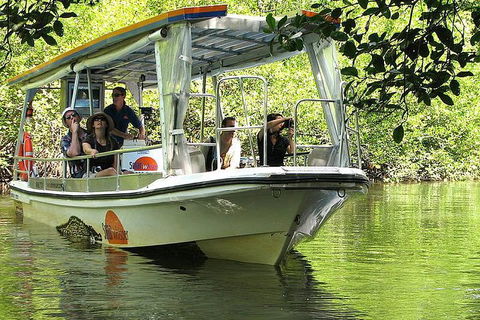3-Day Best Of Cairns Combo: The Daintree Rainforest, Great Barrier Reef, And Kuranda - Accommodation Broome 4