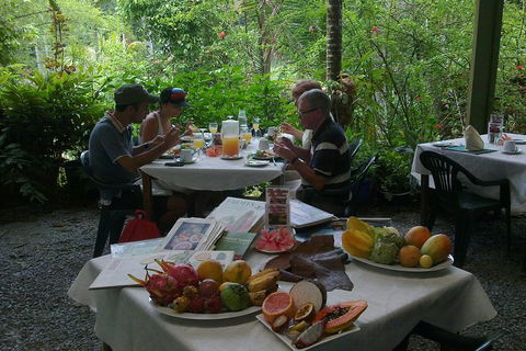 3-Day Best Of Cairns Combo: The Daintree Rainforest, Great Barrier Reef, And Kuranda - Accommodation Broome 5