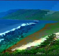 Cairns Reef and Rainforest Combo Daintree Rainforest and the Great Barrier Reef - Accommodation Broome
