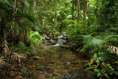 Cairns Reef And Rainforest Combo: Daintree Rainforest And The Great Barrier Reef - Accommodation Broome 1