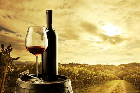 McLaren Vale Luxury Wine Tour - Accommodation Broome 0