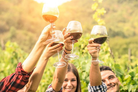 McLaren Vale Luxury Wine Tour - Accommodation Broome 2