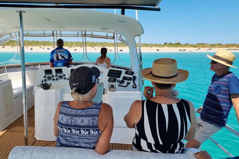 Snubfin Dolphin Eco Cruise From Broome - Accommodation Broome 5