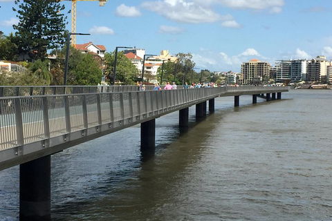 Brisbane City Highlights With Lone Pine! - Accommodation Broome 1