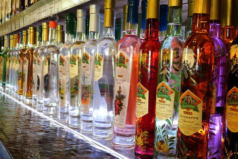 Bar & Brewery Tour - Accommodation Broome 4