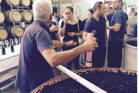 Luxury Private Mclaren Vale Wine Tour - Accommodation Broome 4