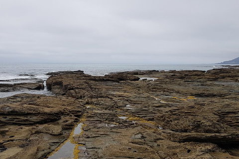 Luxury Private Great Ocean Road Tour Up To 11 People - Entire Vehicle - Accommodation Broome 1