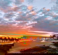 1 Hour Broome Sunset Camel Tour - Accommodation Broome