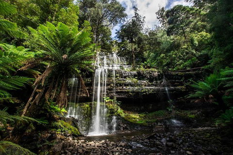 3-Day Tour To The Falls, Mountains, Lake & More Of West Coast Tasmania - Accommodation Broome 4