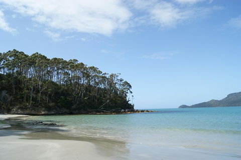 Bruny Island Day Trip From Hobart - Accommodation Broome 1