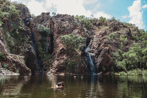 Litchfield National Park Day Tour From Darwin With Waterfalls And Buley Rockhole - Accommodation Broome 1