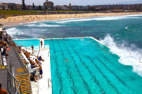 Private Sydney Half Day Tour Including Sydney Opera House And Bondi Beach - Accommodation Broome 1
