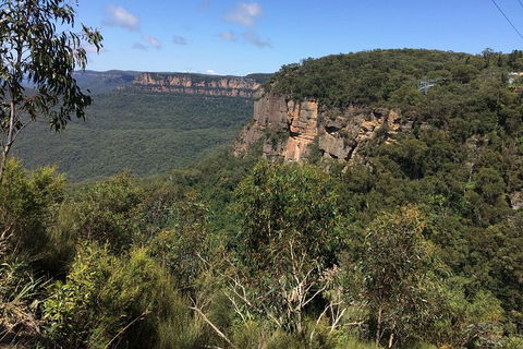 Full-Day Private Blue Mountains Tour With River Cruise - Accommodation Broome 1