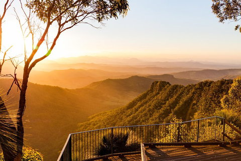 O'Reilly's & Lamington National Park Incl. Alpaca Farm + Vineyard - Accommodation Broome 0