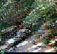 Fraser Island 4WD Tour from Rainbow Beach - Accommodation Broome