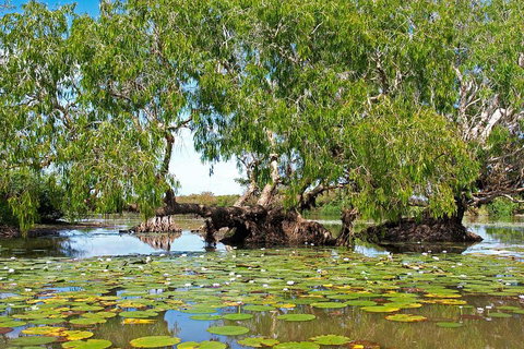Ethical Adventures - Best In The WET - Litchfield / Kakadu 3 Day- Max 10 Guests - Accommodation Broome 1