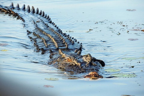 Ethical Adventures - Best In The WET - Litchfield / Kakadu 3 Day- Max 10 Guests - Accommodation Broome 4