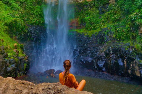 Rainforest & Waterfalls Extravaganza - Accommodation Broome 2