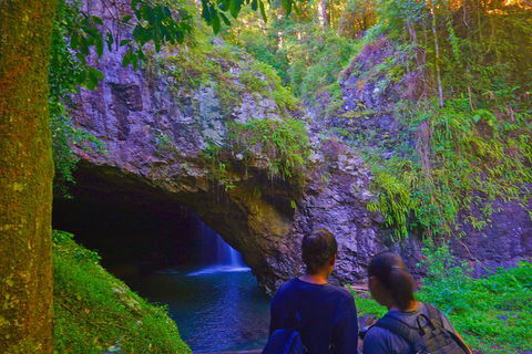 Natural Arch, Rainforest & Volcano Canyon - Private Half Day Tour - Accommodation Broome 4