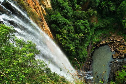 Natural Arch, Rainforest & Volcano Canyon - Private Half Day Tour - Accommodation Broome 5