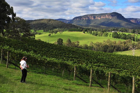 Private Blue Mountains And Winery Day-Trip From Sydney - Accommodation Broome 2