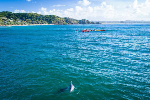 The Byron Bay Sea Kayak Tour - Accommodation Broome 2