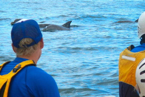 The Byron Bay Sea Kayak Tour - Accommodation Broome 4