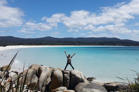 Tasmania 4 Day East Coast + Launceston - Accommodation Broome 1