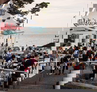 Phillip Island and French Island Wildlife Expedition