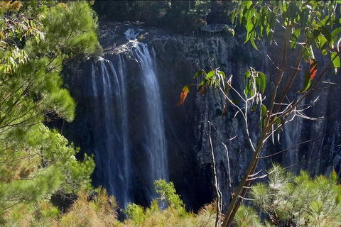 Byron Bay Hinterland Tour Including Rainforest Walk To Minyon Falls - Accommodation Broome 0
