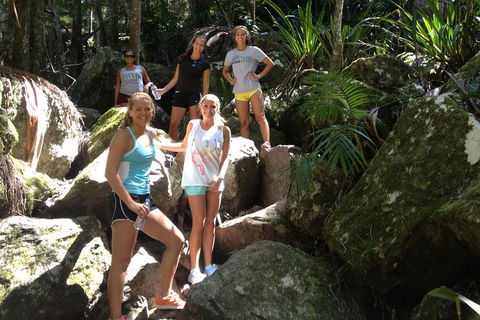 Byron Bay Hinterland Tour Including Rainforest Walk To Minyon Falls - Accommodation Broome 3