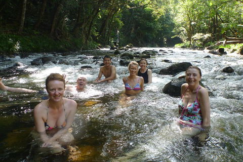 Daintree Rainforest, Cape Tribulation, Mossman Gorge Small-Group Day Tour - Accommodation Broome 0